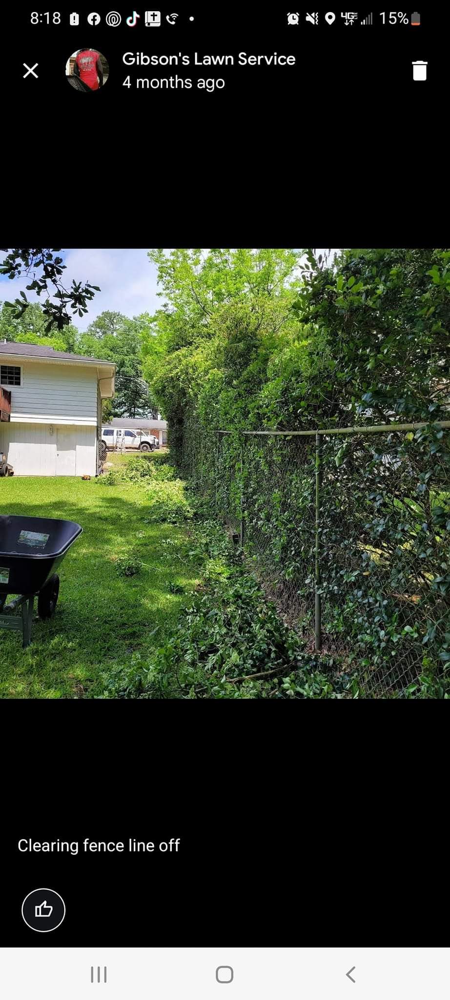 Bush trimming in Ocean Springs  (2)