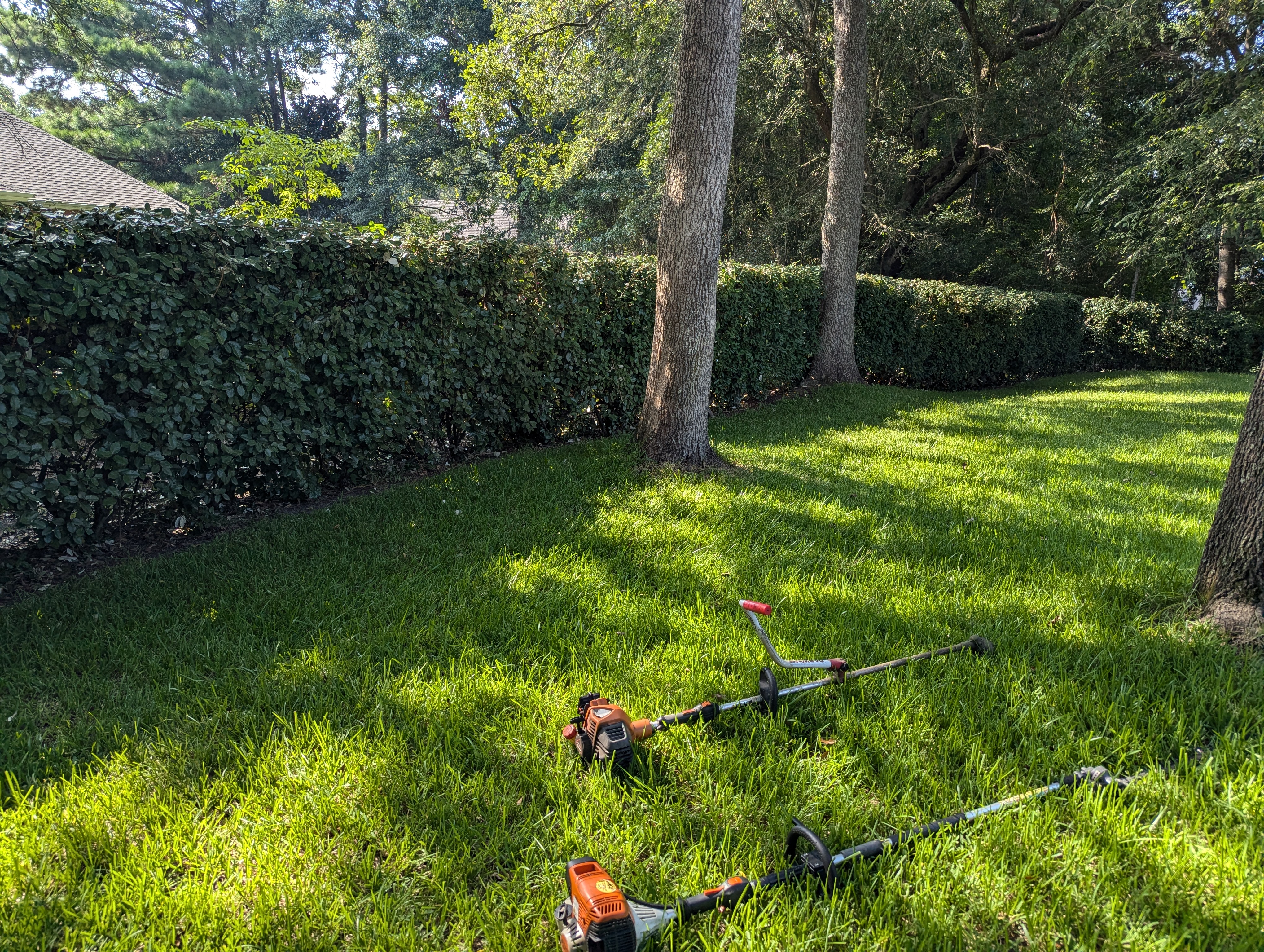 Bush Trimming in Ocean Springs, Ms