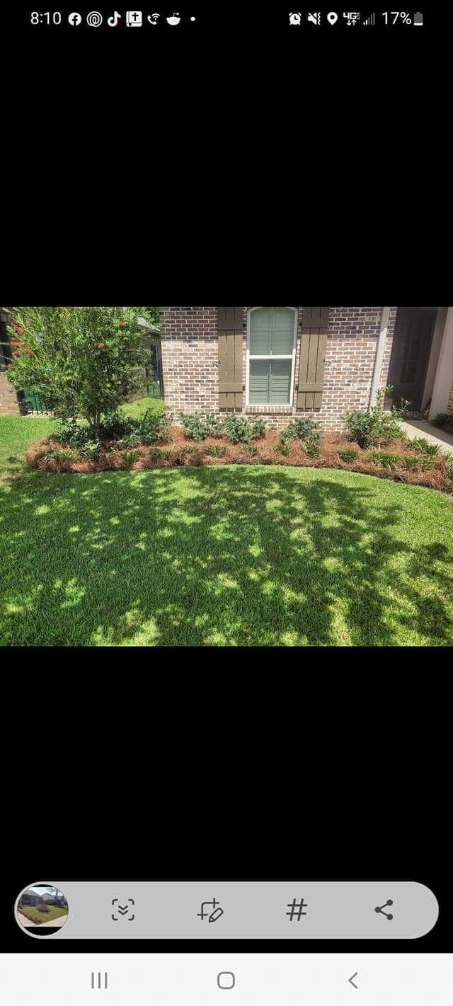 Landscaping Bed Design Ocean springs 