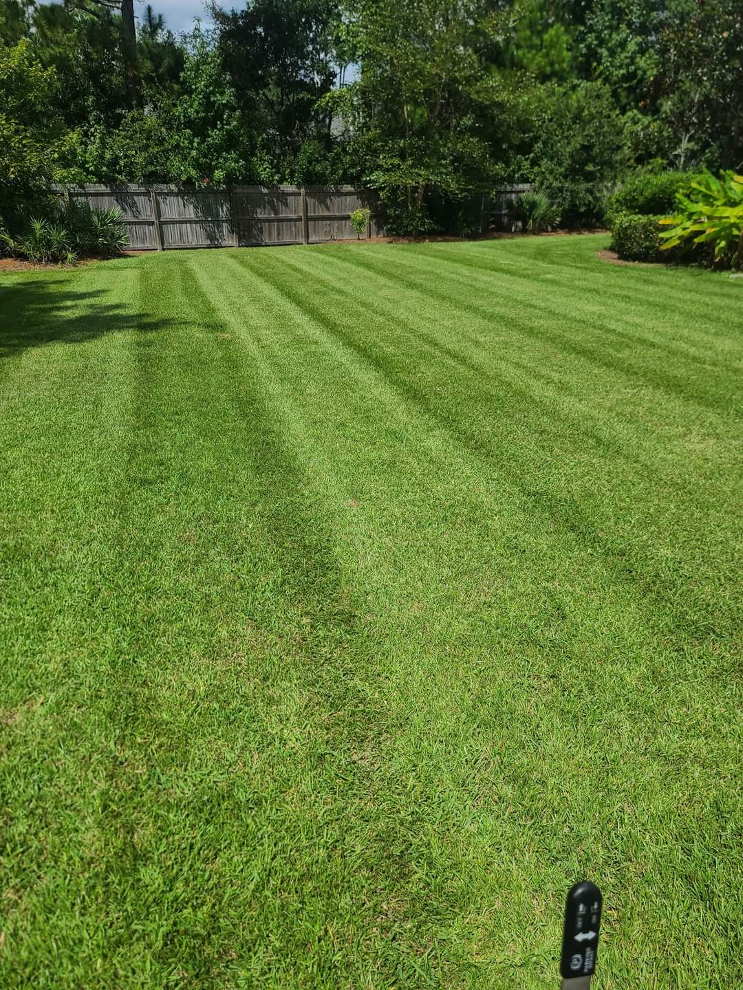 Lawn mowing in Ocean Springs  (8)