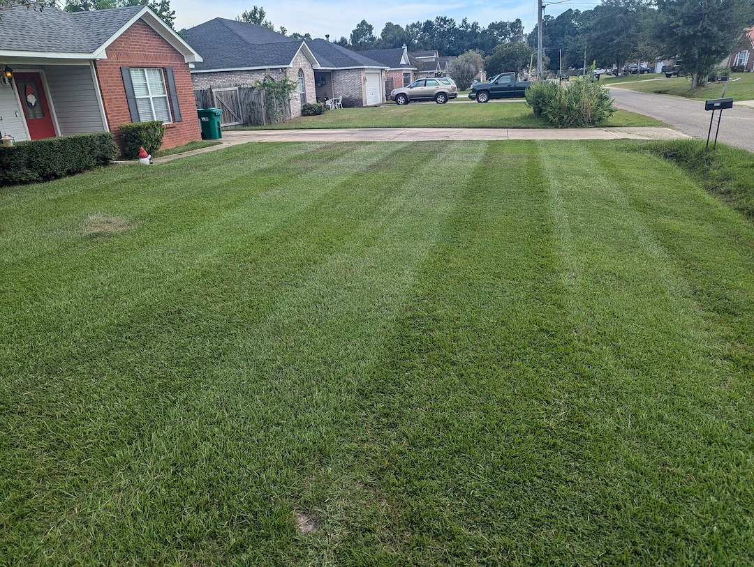 Lawn mowing in Ocean Springs  10