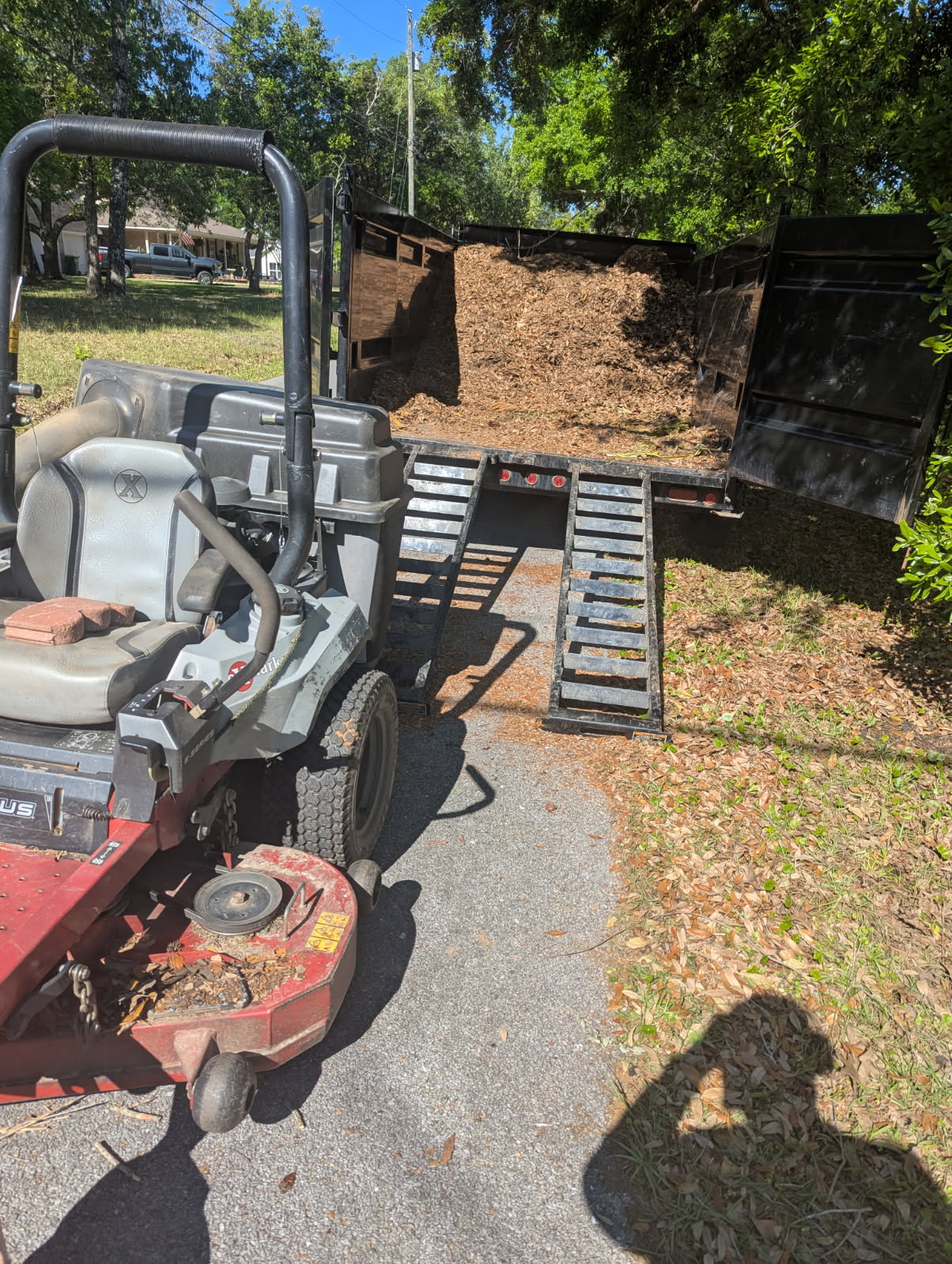 Leaf removal in Ocean Springs (1)