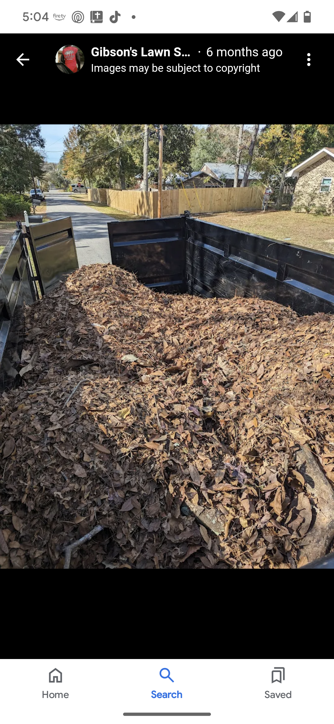 Leaf removal in Ocean Springs 