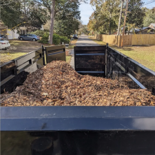 Leaf-removal-in-Ocean-Springs 0