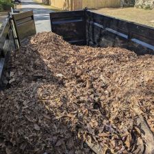 Leaf-removal-in-Ocean-Springs 1