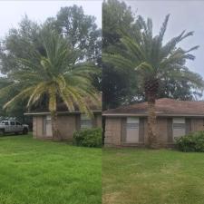 Palm-tree-trimming-ocean-springs-1 0