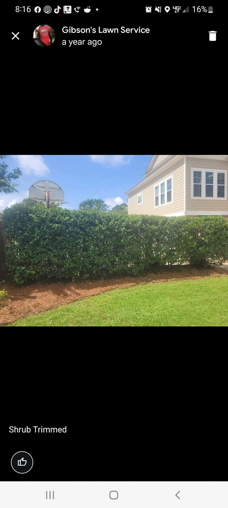 Pinestraw install in landscaping beds (1)