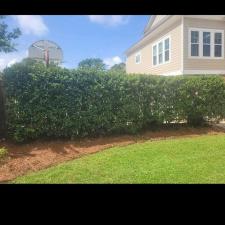 Pinestraw-install-in-landscaping-beds-1 0