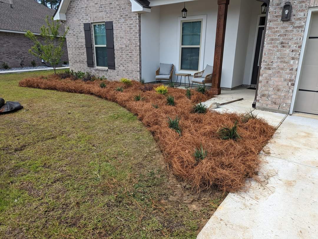 Pinestraw install in landscaping beds (2)