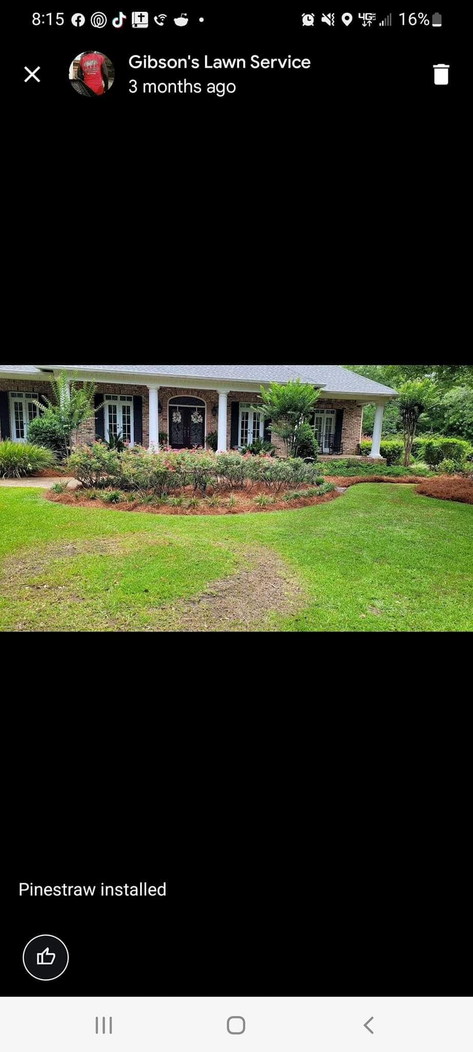 Pinestraw install in landscaping beds