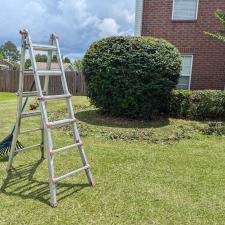 Shrub-trimming-in-Ocean-Springs 0