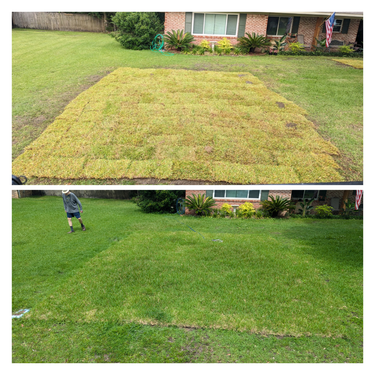 Sod install ocean springs 