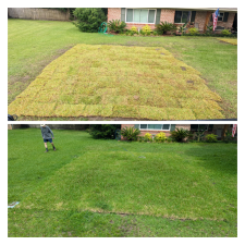 Sod-install-ocean-springs 0